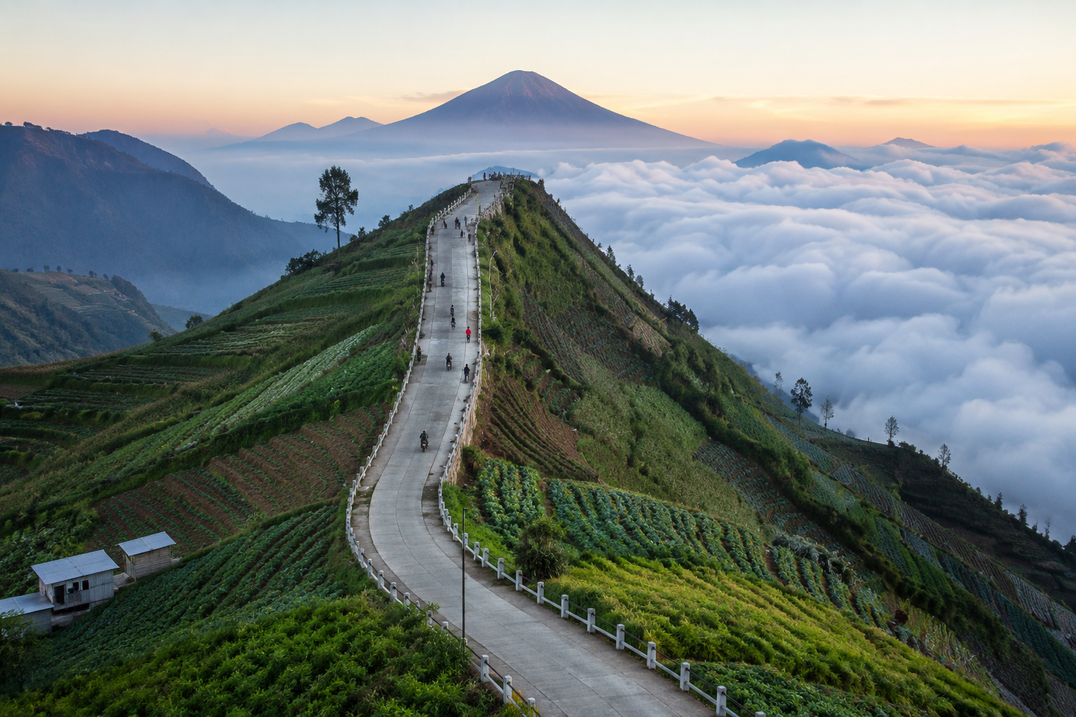 Negeri Sayur Sukomakmur destinasi wisata viral di Magelang